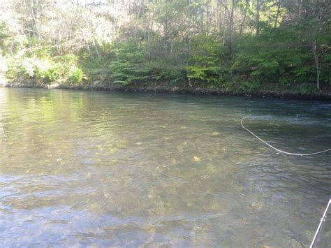 北海道 千歳川の釣り 20231008 鮭の遡上真っ最中 1424m さっぽろ発 9割がグルメ記事