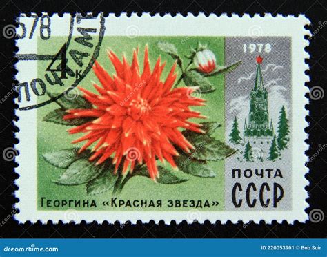 Postage Stamp Soviet Union Cccp Dahlia Red Star Flower Editorial