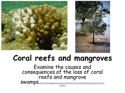 Mangroves Coral Reefs