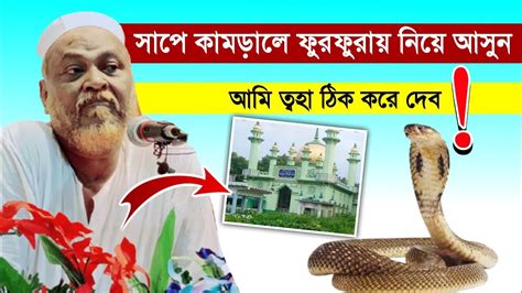 Pirzada toha siddiqui সপ কমডল ফরফরয নয আসনপরজদ তবহ