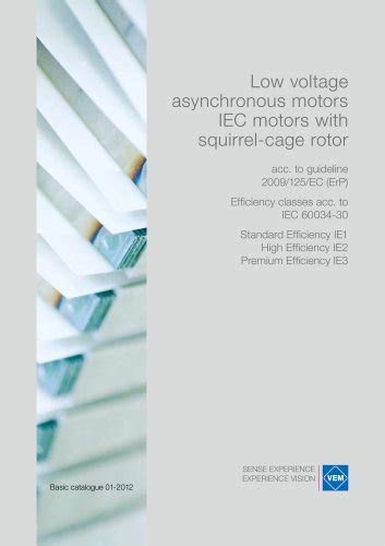 Three Phase Asynchronous Motors Vem Motors Pdf Catalogs Technical