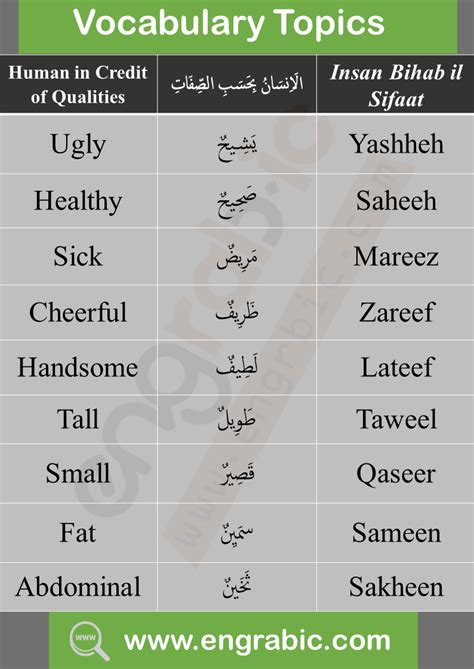 Arabic Words And Their Meanings In English For Beginners Learn Arabic