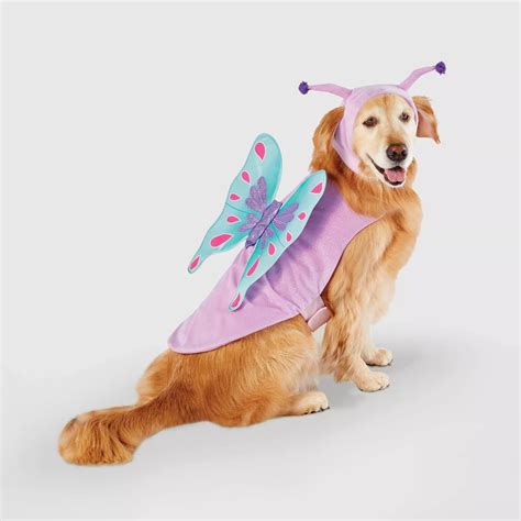 Dogs And Cats In Halloween Costumes