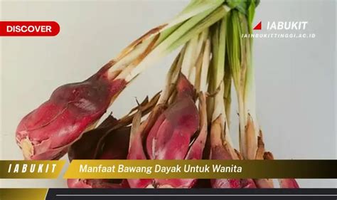 Intip 7 Manfaat Bawang Dayak Untuk Wanita Yang Wajib Kamu Ketahui