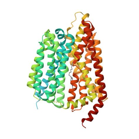 RCSB PDB 8JHR Cryo EM Structure Of Human S1P Transporter SPNS2 Bound