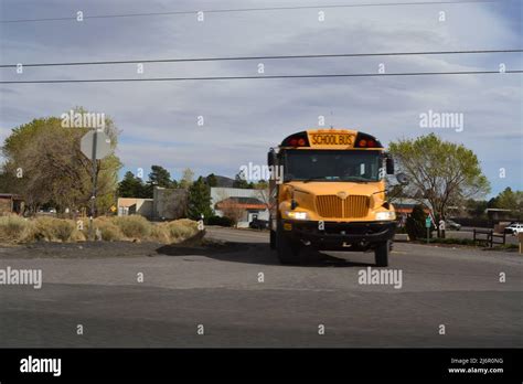 Traditional School Buses On The Road Stock Photo Alamy