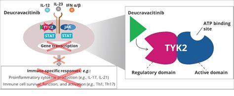 Selective Tyk Inhibition In The Treatment Of Moderate To Severe