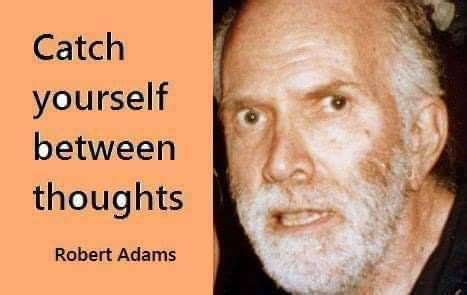 Pin On Robert Adams Spiritual Quotes S Quote Robert Alan Watts