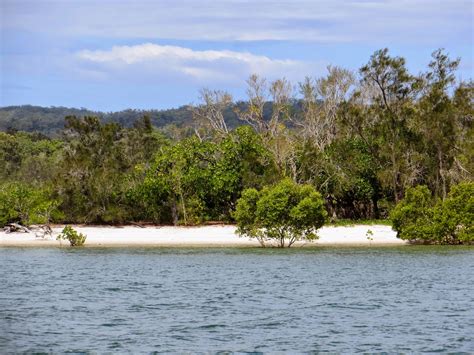 Migrating South to Mooloolaba (Queensland, Australia) – Two At Sea