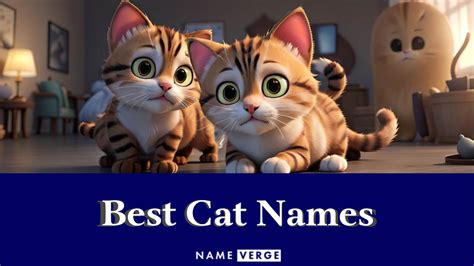 Best Cat Names: 200+ Top Best Names For Your Cats