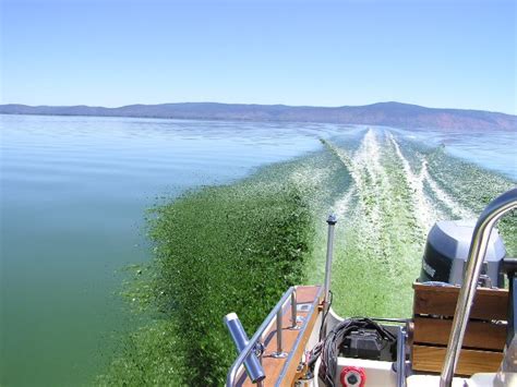 Klamath Lake, Oregon - July 11, 2005