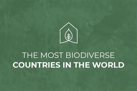 The Most Biodiverse Countries In The World Greenatopia Real Estate