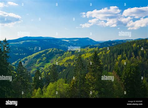 Near St Margen Baden Wurttemberg Schwarzwald Black Forest Germany Stock