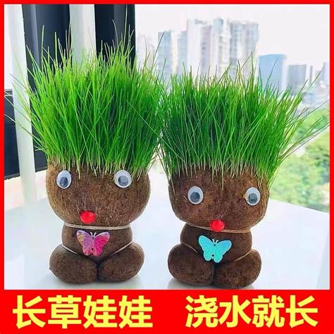 Spot Second Hair Creative Long Grass Head Doll Mini Small Plant Potted Indoor Balcony Tiktok