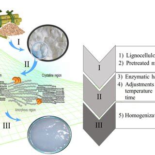 Estimates of nanocellulose production (adapted from Future Markets Inc ...