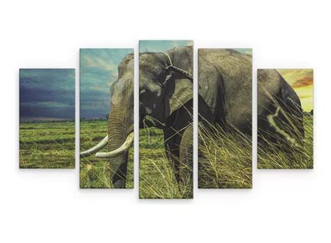 Cuadro decorativo Rcs Decorações Quadro cuadro decorativo de elefante