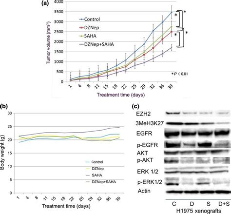 Combined Inhibition Of Ezh2 And Histone Deacetylases As A Potential