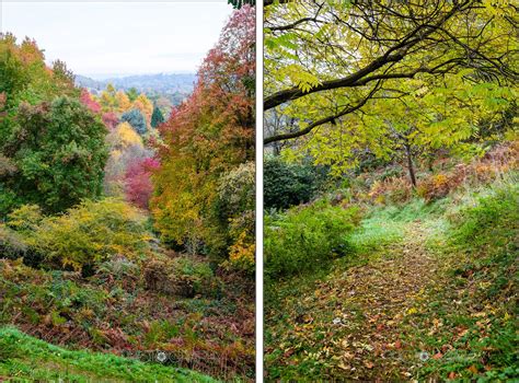 An autumn day at Winkworth Arboretum, Godalming, Surrey, UK - Heather ...