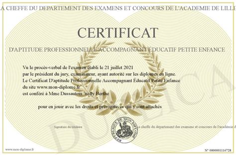 Certificat D Aptitude Professionnelle Accompagnant Ducatif Petite Enfance