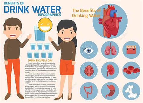 People Drinking Water And Benefits Of Drink Water Infographics Vector