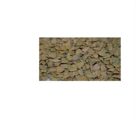 Cassia Angustifolia Seeds, Packaging Type: Bag at best price in Dehradun