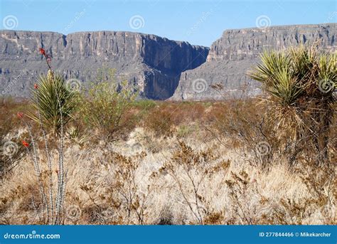 Rio Grande River Valley In Big Bend National Park Stock Photo Image