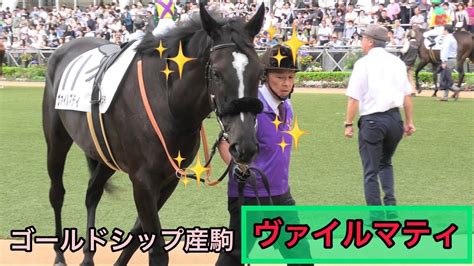 【ゴールドシップ産駒】今日も牡馬顔負けのイケ女っぷりなヴァイルマティ🐴 Youtube