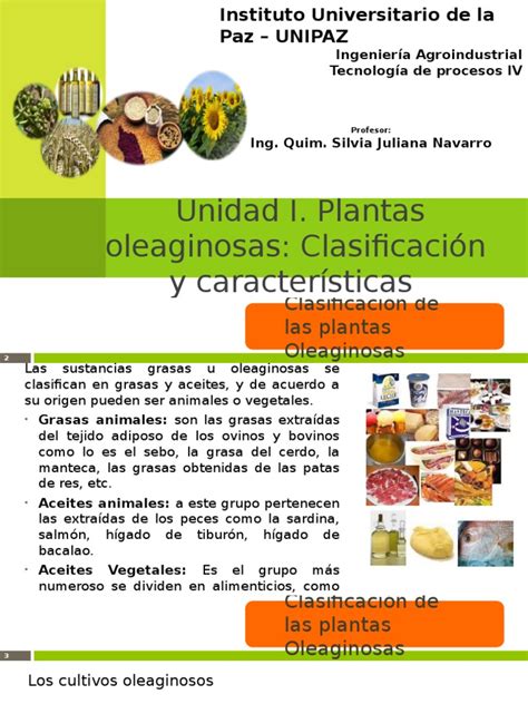 Plantas Oleaginosas Lípido Glicerol