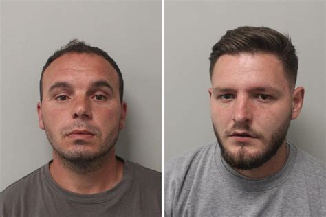 Sex Offenders Database Uk