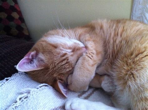 New digital banking kiosks are coming to pnc raleigh nc 28