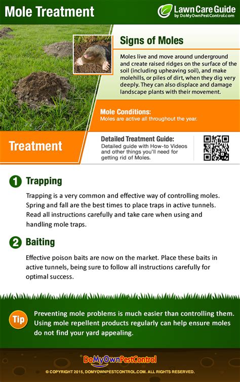 How To Get Rid Of Moles Fast Mole Treatment And Control