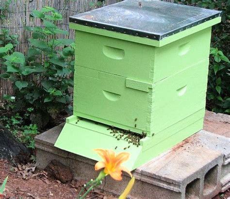 25 Free DIY Beehive Plans to Build Your Own Bee Box