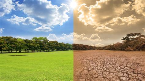 ¿cómo Ayudar A Detener El Cambio Climático En Argentina