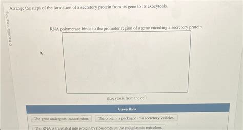 Solved Arrange the steps of the formation of a secretory | Chegg.com