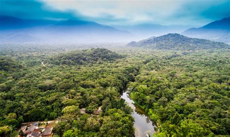 Reservas Naturales En Per Sorpr Ndete Con La Biodiversidad