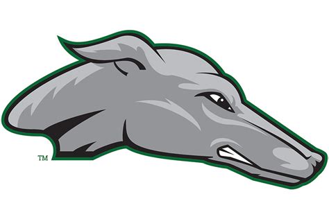 New Sports Information Director Promotes Accomplishments of ENMU ...