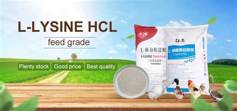 L Lysine Hcl Animal Feed Feed Additives For Cowspigschickens Buy L