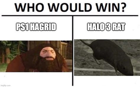 Halo: 10 Best Halo 3 Rat Memes