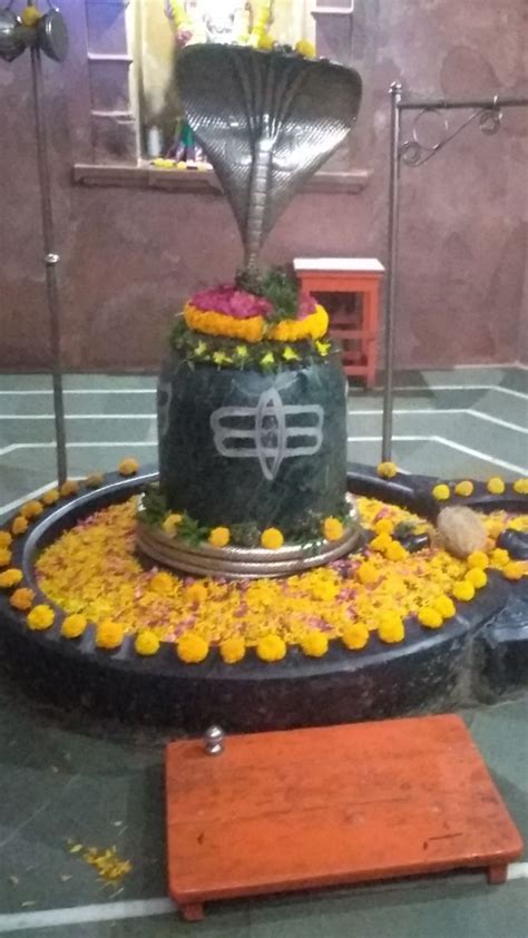 Mahashivratri 2023 शिवलिंग पर भूलकर भी न चढ़ाएं ये 5 चीजें