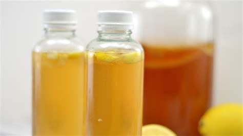 Lemon Kombucha Recipe | Great Kombucha