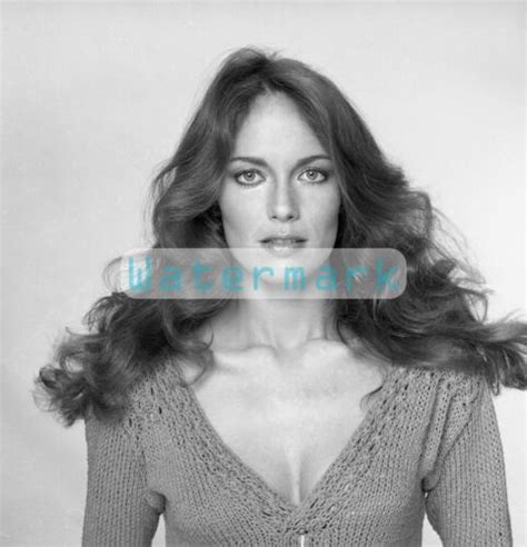 Catherine Bach As Daisy Duke Fine Art Archival Print 85x11 Wow