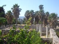 Kos History : Discovering the past of the island