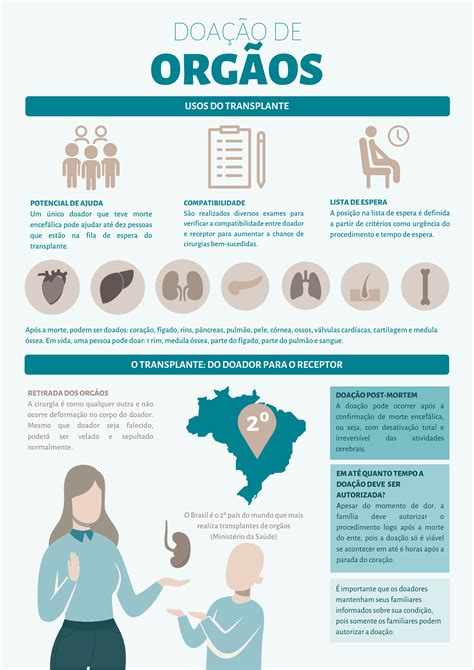 Infogr Fico Educativo Sobre Doa O De Org Os On Behance