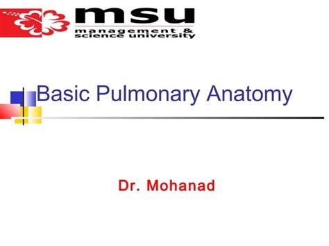 Basic Pulmonary Anatomy Ppt