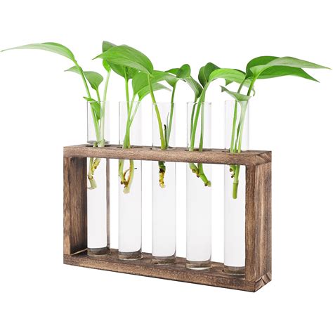 Buy GLAITC Hydroponic Stand Op Hanging Glass Er Propagation Station