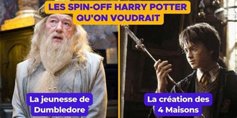 Top 15 des spin off de Harry Potter quon aurait aimé voir arrêtez