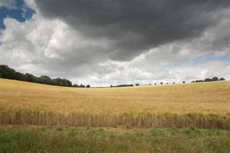 Countryside of Oxfordshire England Stock Image - Image of background ...