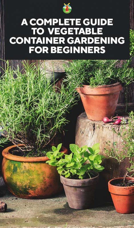 Container Herb Gardens Beginners Garden Design Ideas