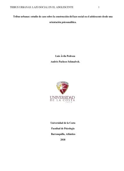 Tribus urbanas estudio de caso sobre la construcción del lazo social