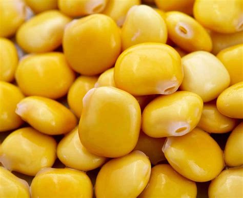 The health benefits of lupin — the powerhouse legume - Healthy Food Guide